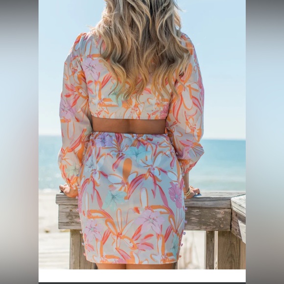 Pink Lily “My Fun Side Colorful Cutout Detail Dress” - Picture 3 of 6